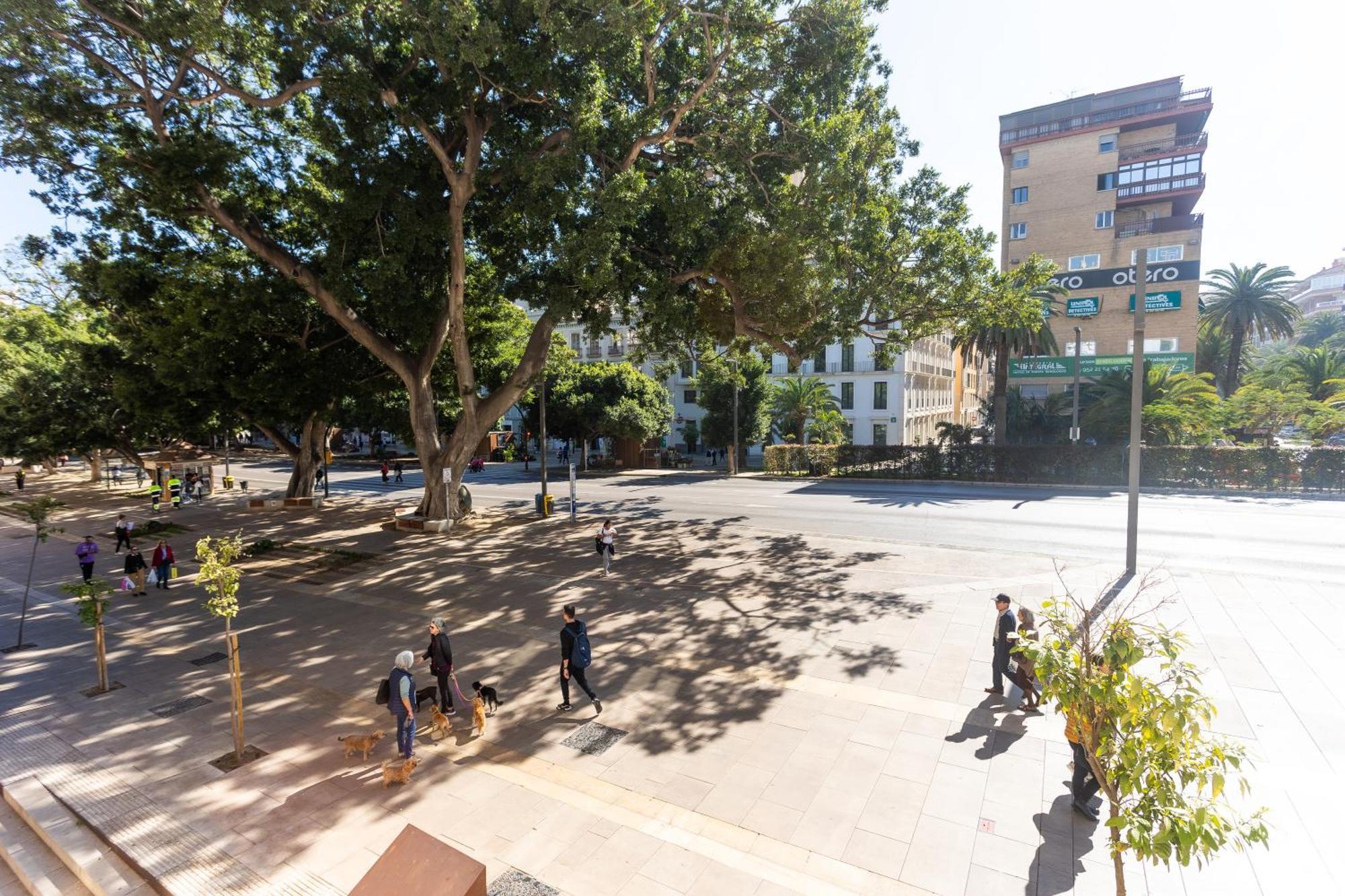 La Casa De La Alameda Málaga Exterior foto
